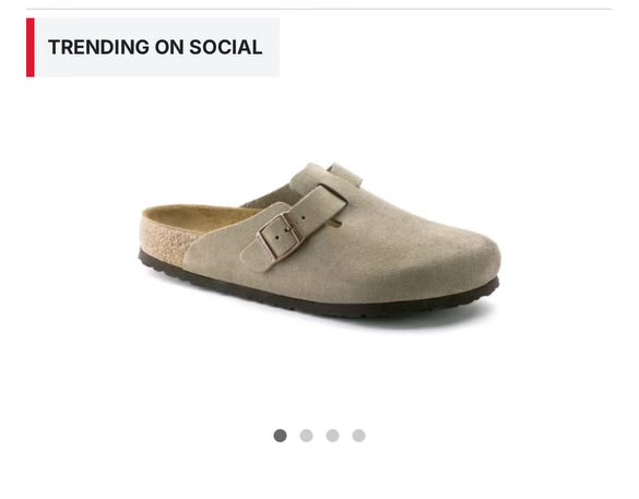 Birk